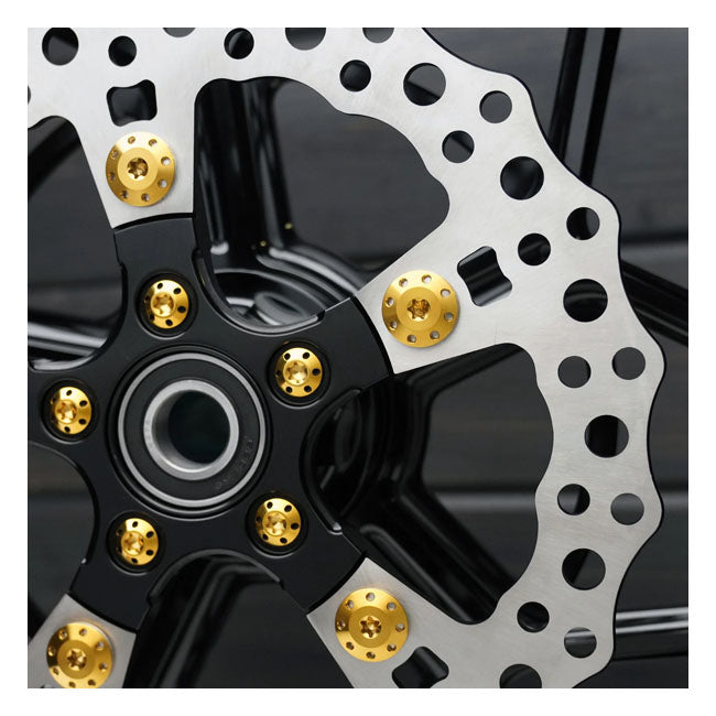 Arlen Ness, Titanium brake rotor bolt kit. Front. Gold