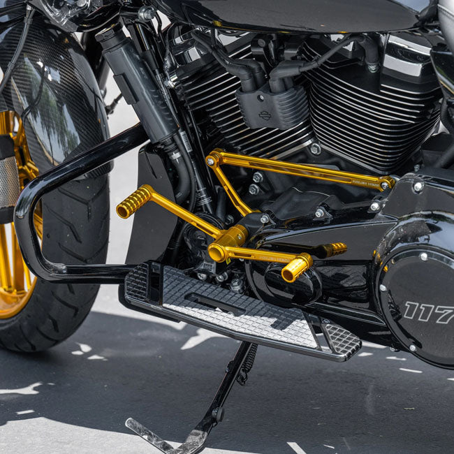 Arlen Ness, Speedliner Foot Control Kit. Gold