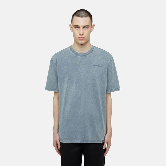 Dickies Plentywood t-shirt