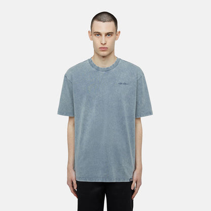 Dickies Plentywood t-shirt