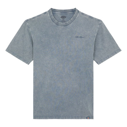 Dickies Plentywood t-shirt