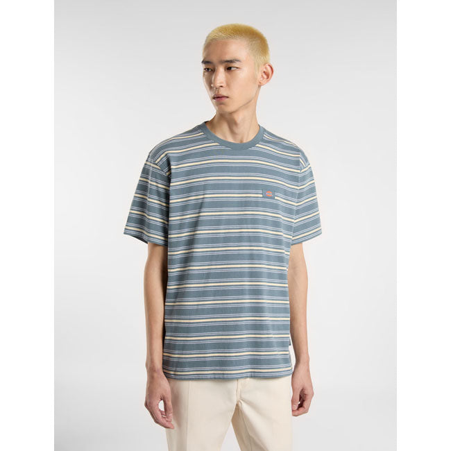 Dickies Lewistown Stripe t-shirt stormy weather