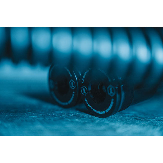 Legend, 49mm Axeo Comfort fork cartridge set