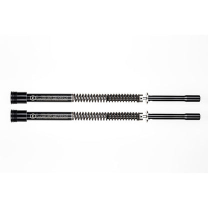 Legend, 49mm Axeo fork cartridge set