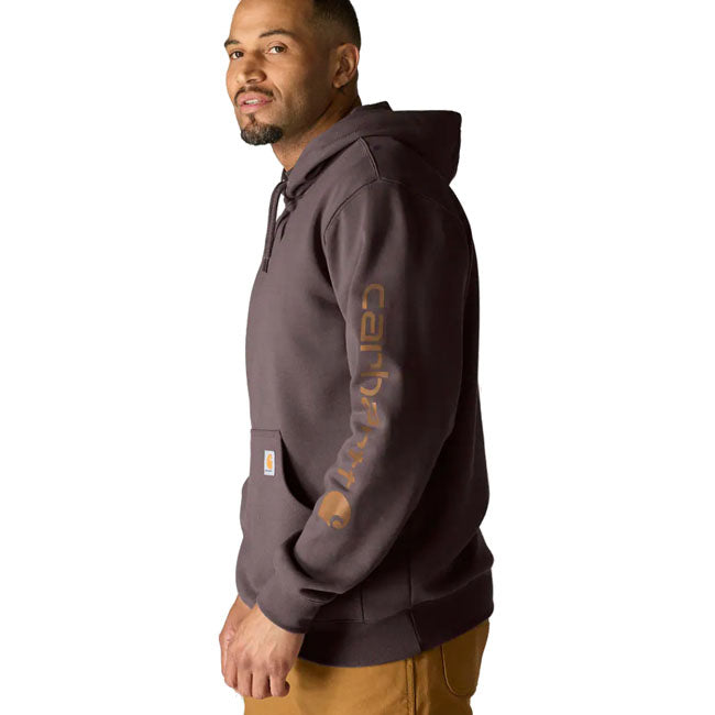 Carhartt Sleeve Logo hoodie
