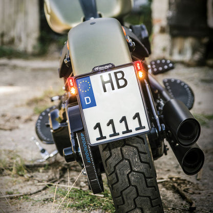*6 DAYS EXTRA TRANSIT TIME* HeinzBikes, All-In license plate bracket with taillight