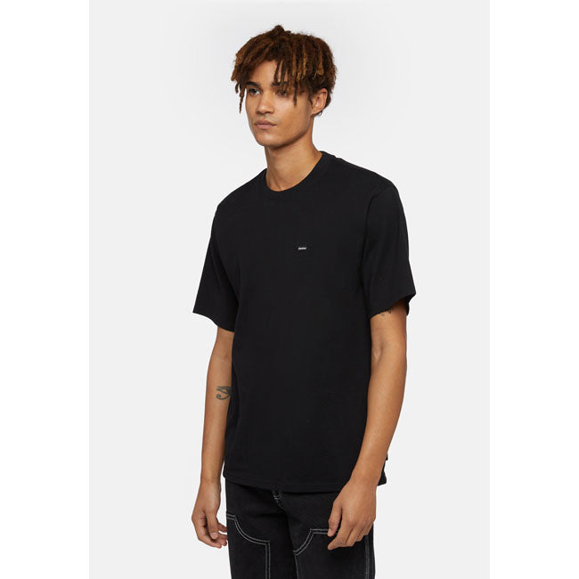 Dickies Clancy Heavyweight t-shirt