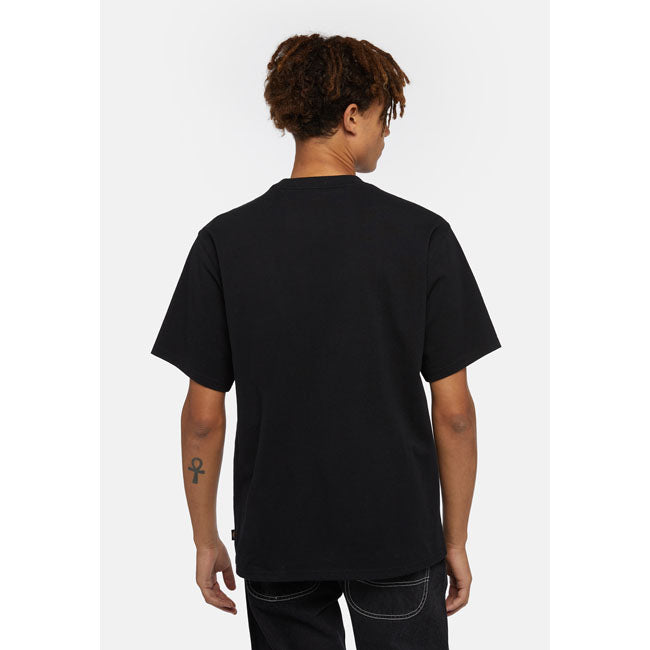 Dickies Clancy Heavyweight t-shirt