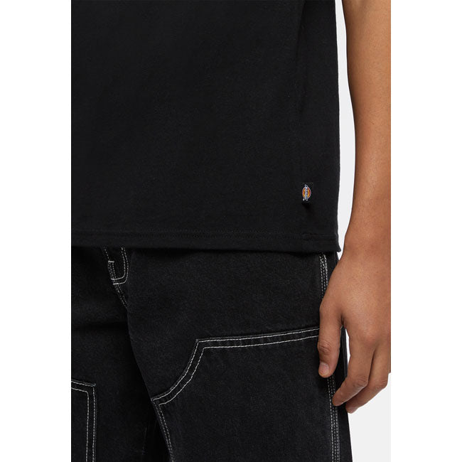 Dickies Clancy Heavyweight t-shirt