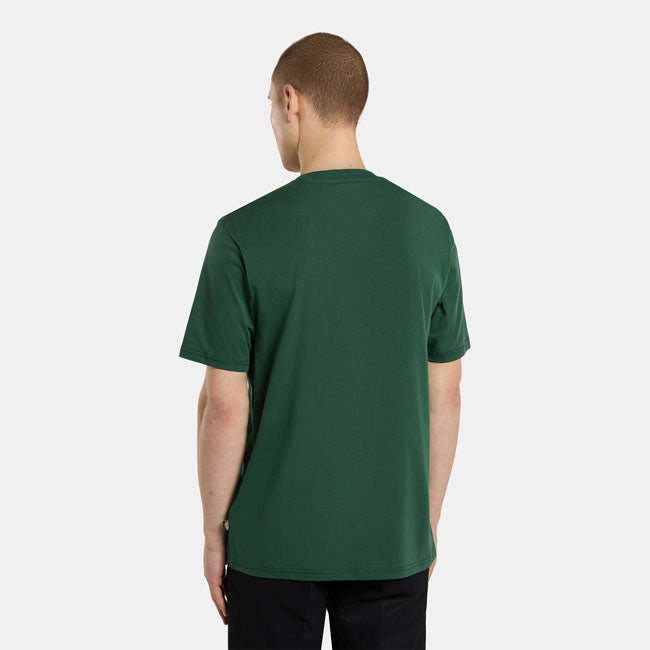 Dickies Ss Mapleton t-shirt