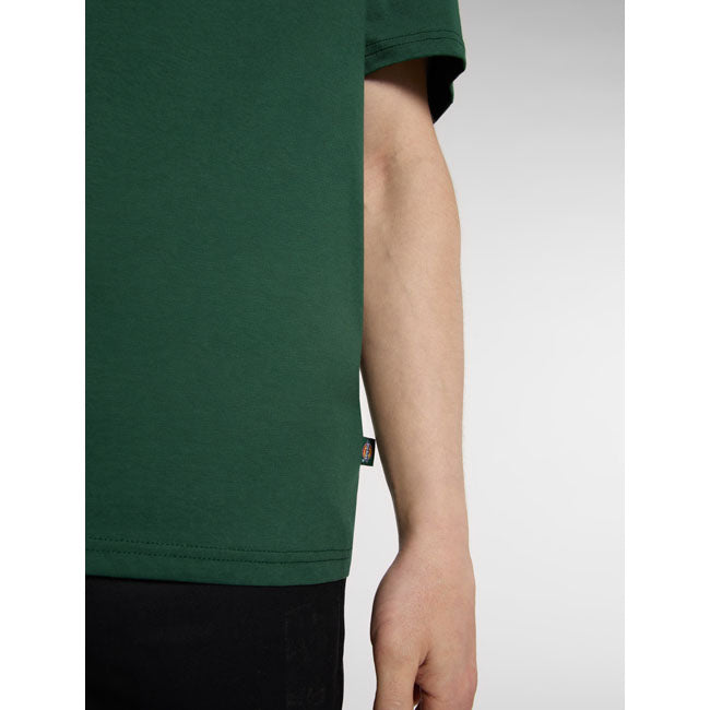 Dickies Ss Mapleton t-shirt