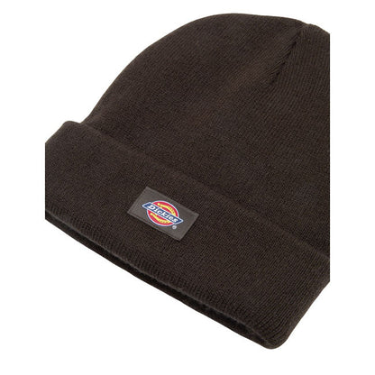 Dickies Gibsland beanie