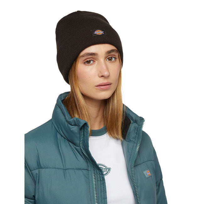 Dickies Gibsland beanie