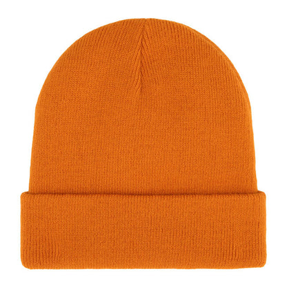Dickies Gibsland beanie