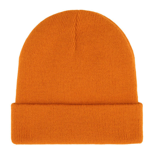 Dickies Gibsland beanie