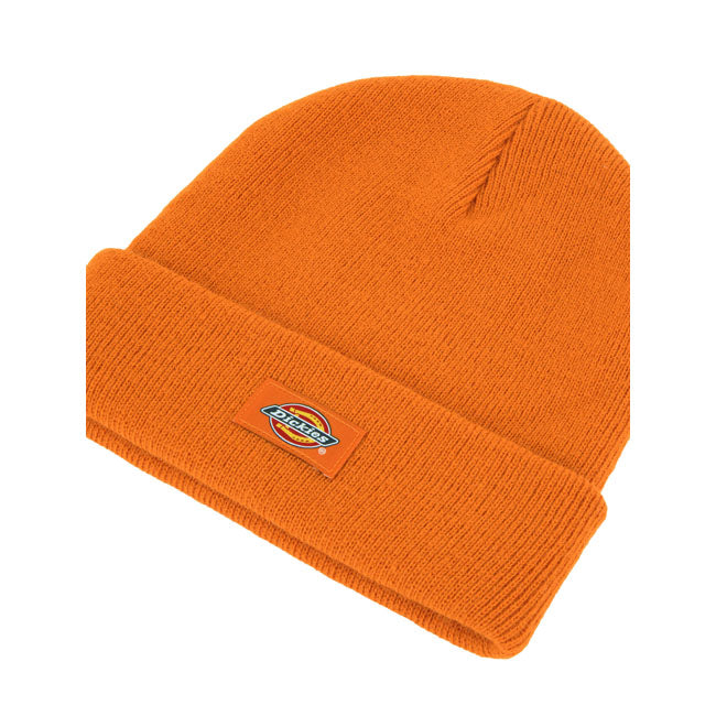 Dickies Gibsland beanie