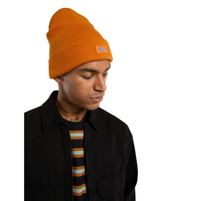 Dickies Gibsland beanie