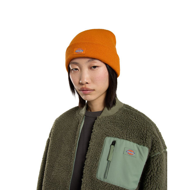 Dickies Gibsland beanie