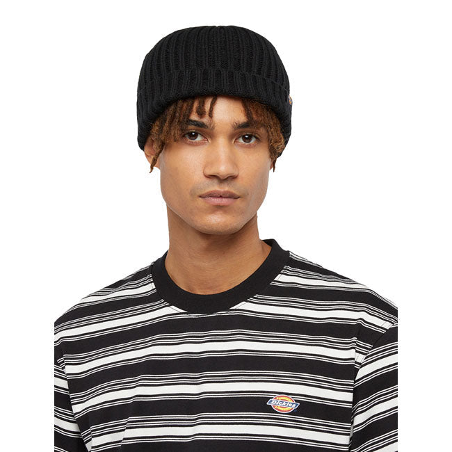 Dickies Lockwood beanie black