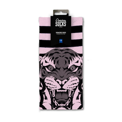 American Socks Khan Signature socks
