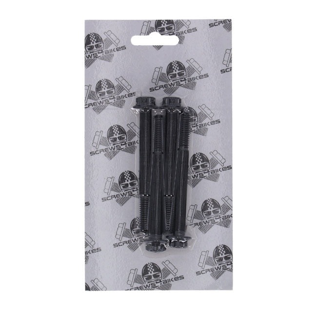Screws4Bikes, crankcase bolt kit. Titan 2Drive. Black