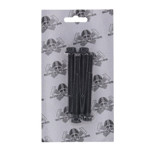 Screws4Bikes, crankcase bolt kit. Titan 2Drive. Black