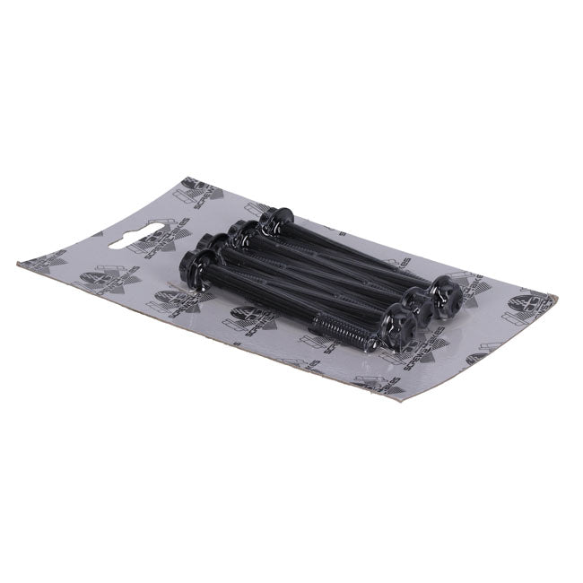 Screws4Bikes, crankcase bolt kit. Titan 2Drive. Black