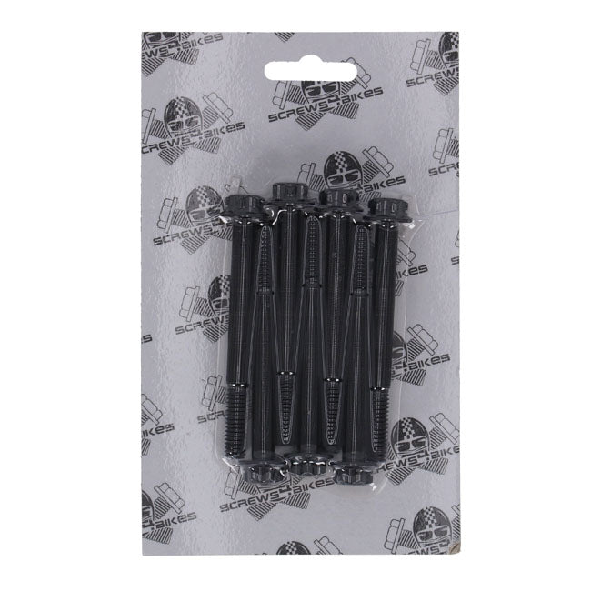 Screws4Bikes, crankcase bolt kit. Titan 2Drive. Black