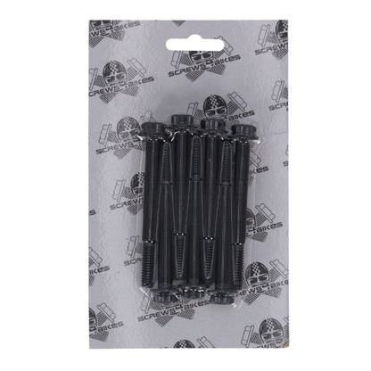 Screws4Bikes, crankcase bolt kit. Titan 2Drive. Black