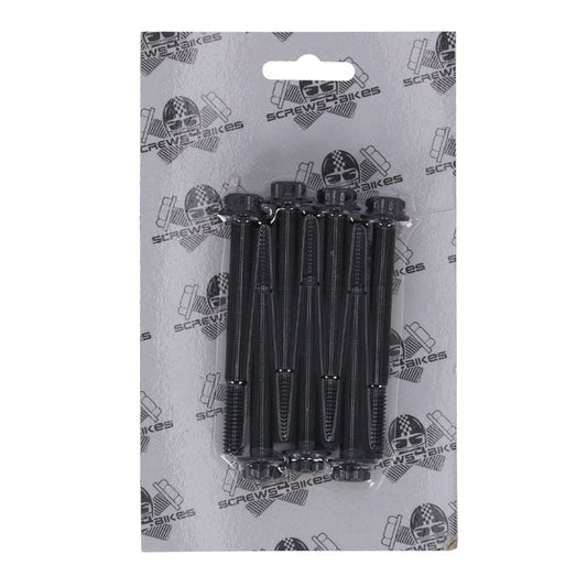 Screws4Bikes, crankcase bolt kit. Titan 2Drive. Black