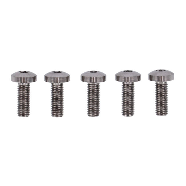 Screws4bikes, bolt kit, brake rotor discs rear (TITAN)