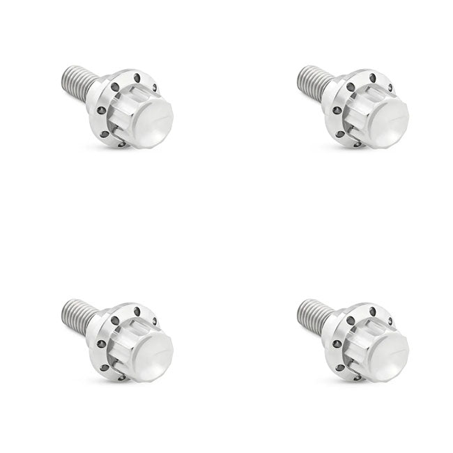 Arlen Ness, titanium 12-point windshield bolt kit