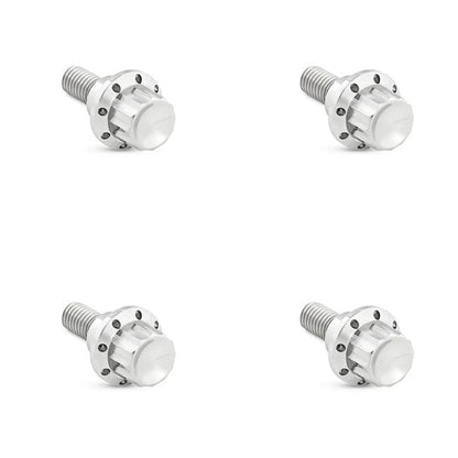 Arlen Ness, titanium 12-point windshield bolt kit