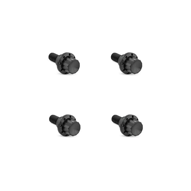 Arlen Ness, titanium 12-point windshield bolt kit