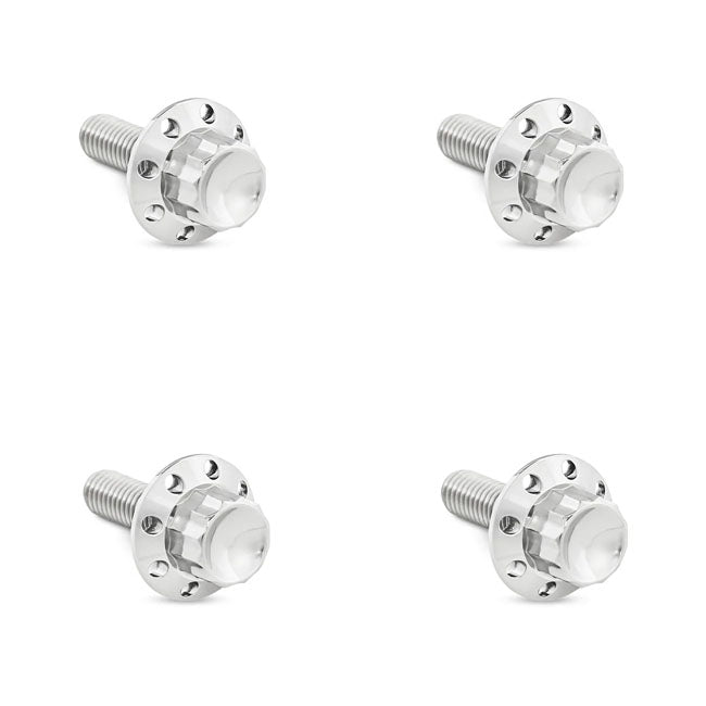 Arlen Ness, titanium 12-point windshield bolt kit. Polished