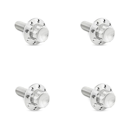 Arlen Ness, titanium 12-point windshield bolt kit. Polished