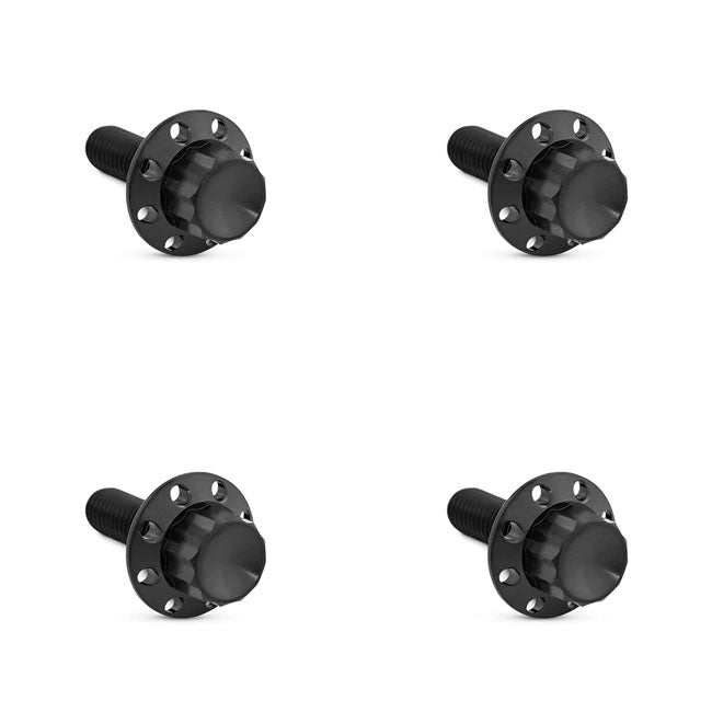 Arlen Ness, titanium 12-point windshield bolt kit. Black