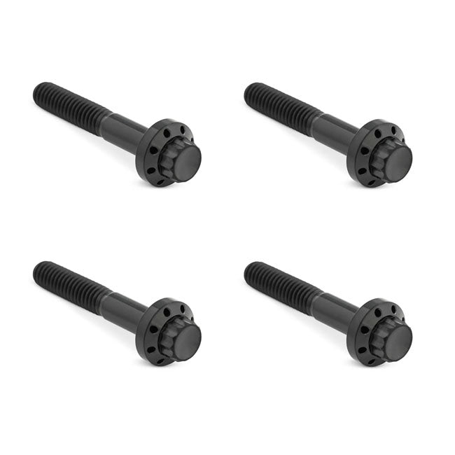 Arlen Ness, titanium 12-point front fender bolt kit