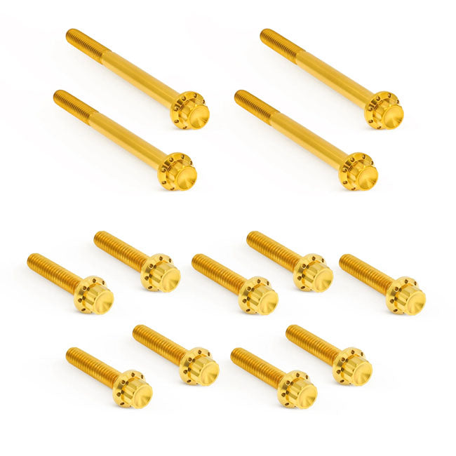 Arlen Ness, Titanium 12pt Primary Cover Bolt Kits. Gold