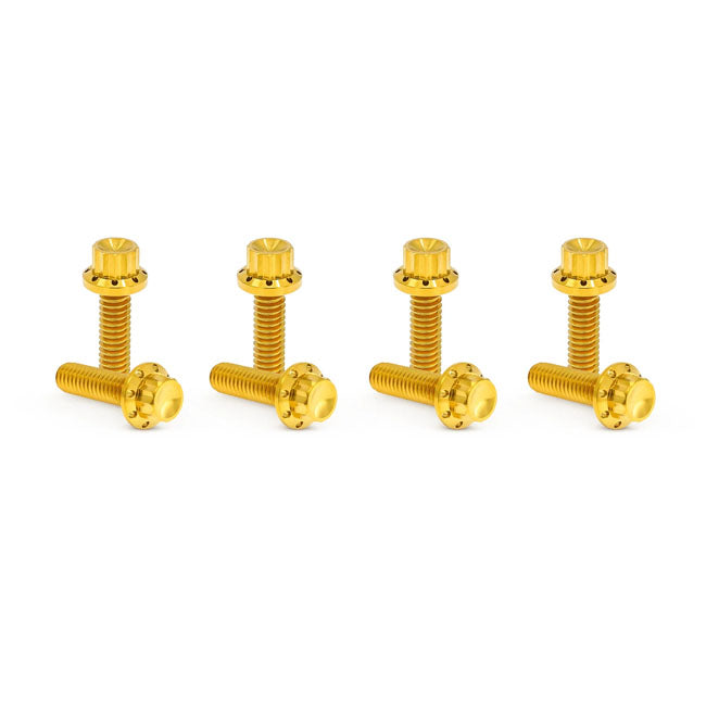 Arlen Ness, titanium 12-point lifter block bolt kit