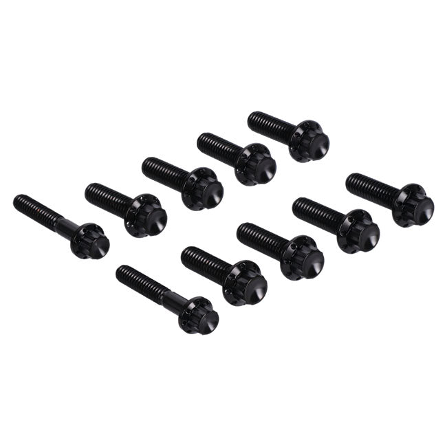Arlen Ness, transm. side cover & trap door 12-point bolt kit