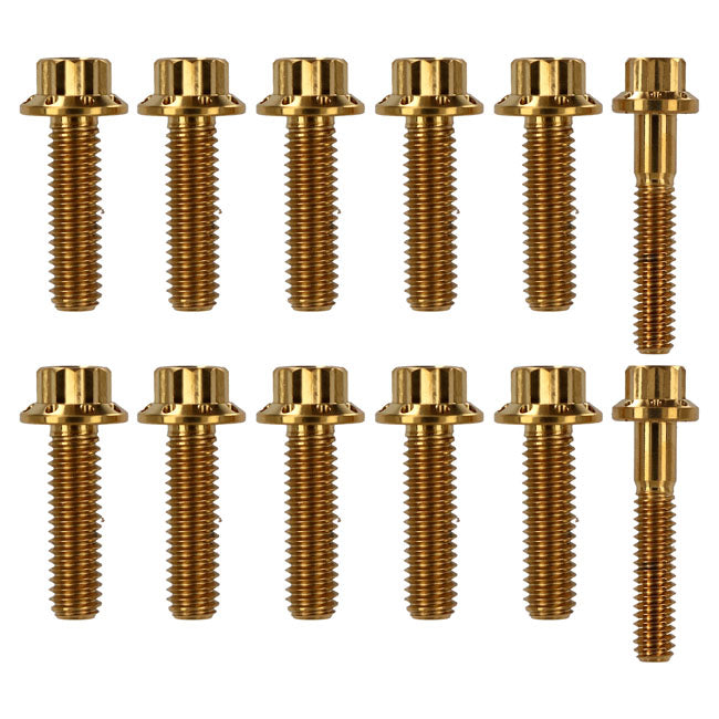 Arlen Ness, transm side cover trap door 12-point bolt kit