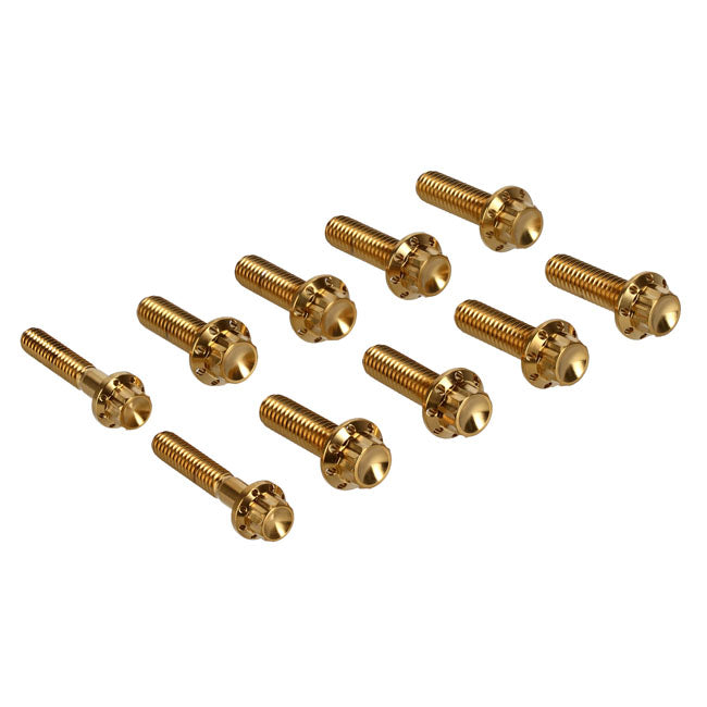 Arlen Ness, transm side cover trap door 12-point bolt kit