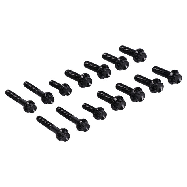 Arlen Ness, transm side cover trap door 12-point bolt kit