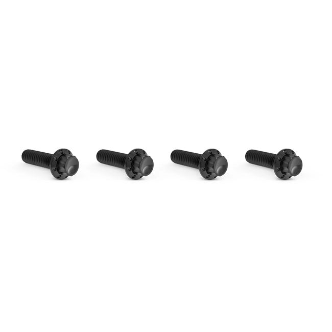 Arlen Ness, titanium 12-point transm top cover bolts