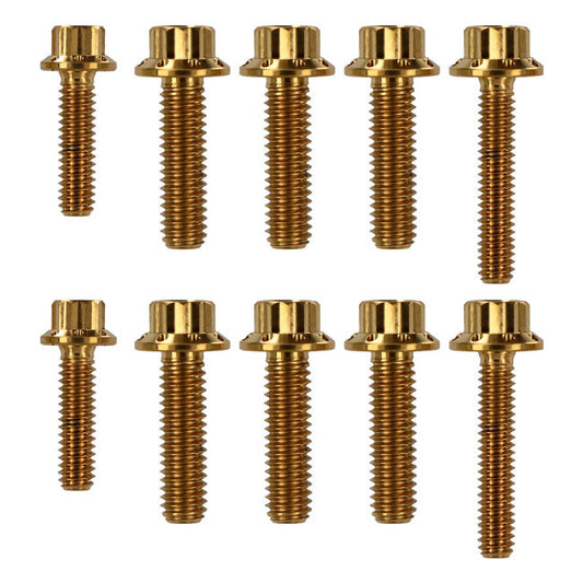 Arlen Ness, transm side cover trap door 12-point bolt kit