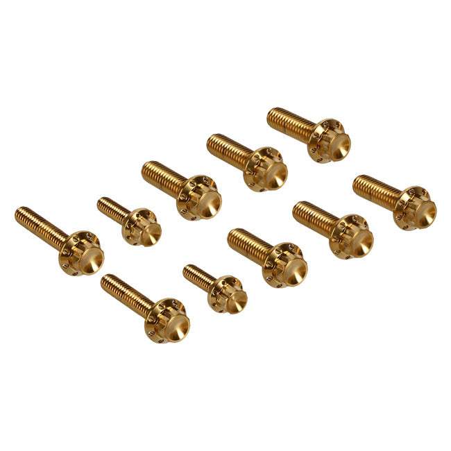 Arlen Ness, transm side cover trap door 12-point bolt kit