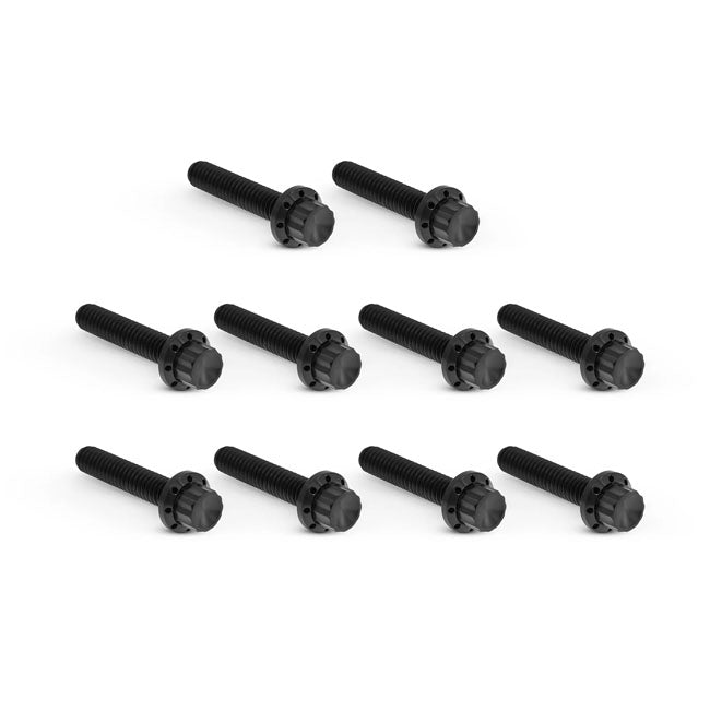 Arlen Ness, titanium 12-point cam/point cover bolt kit.Black