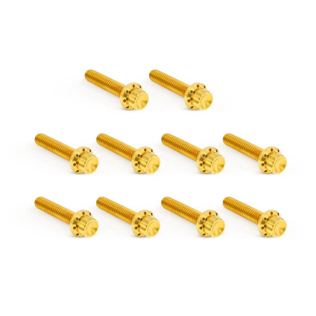 Arlen Ness, titanium 12-point cam/point cover bolt kit