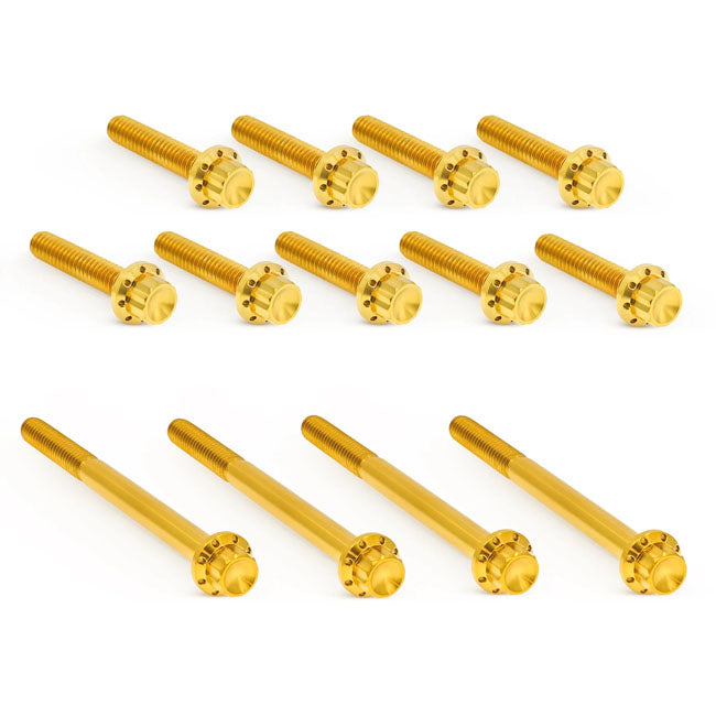 Arlen Ness, titanium 12-point primary cover bolt kit